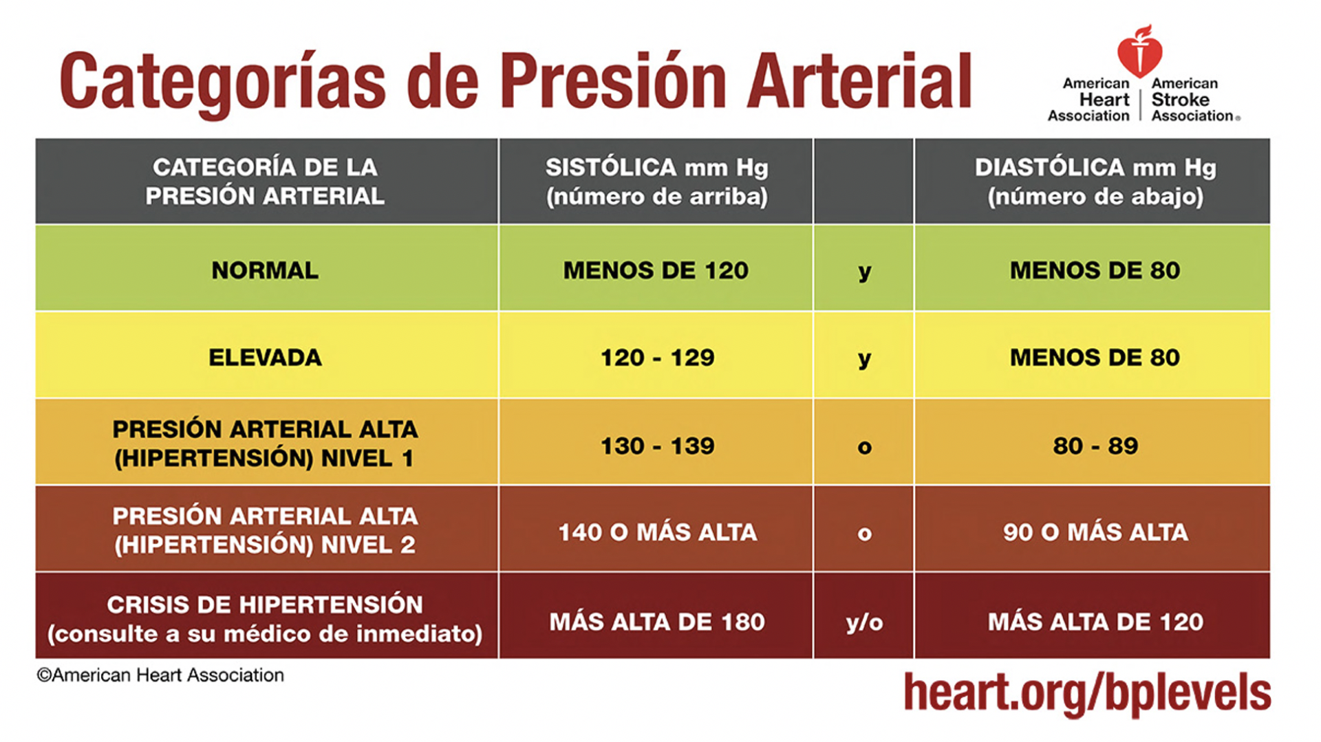 Nuestra Salud Hablemos De La Hipertensi n Arterial Vida Y Familia Nuestra Salud Hablemos De La Hipertensi n Arterial Vida Y Familia