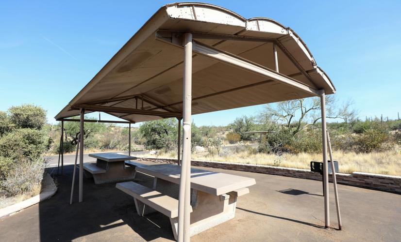 Old bomber doors cast long shadow at Saguaro National Park