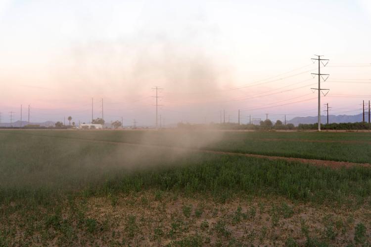 Nancy Caywood, a Pinal County, Arizona farmer affected by Colorado River cuts