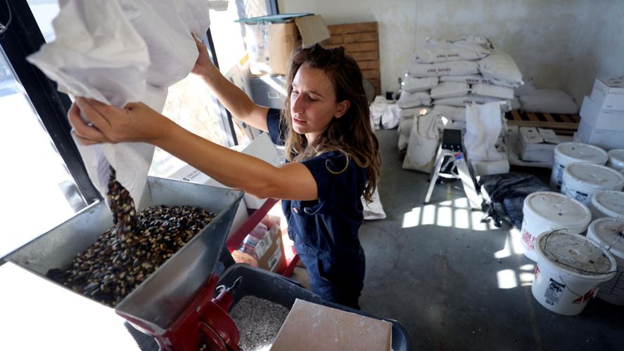 Town Under Black Distillery