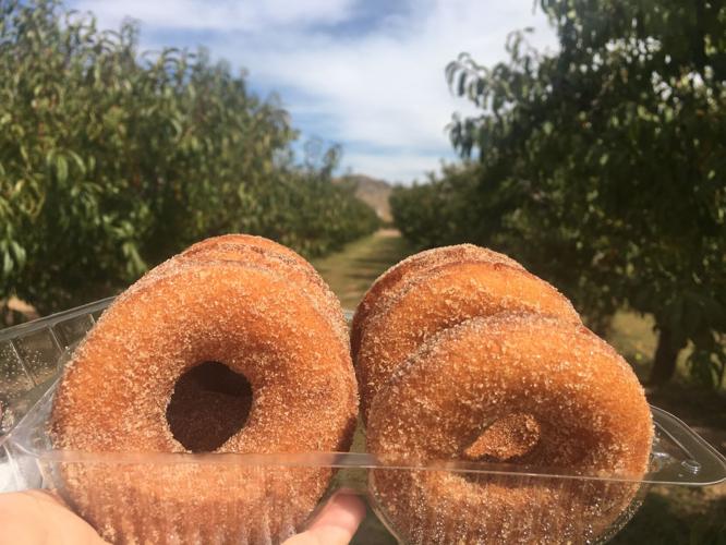 apple annies donuts.JPG