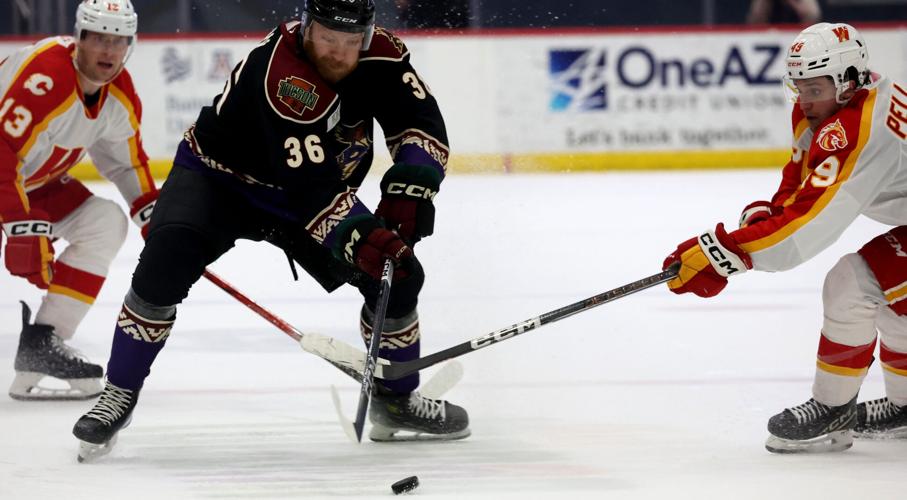 Roadrunners vs Calgary (copy)