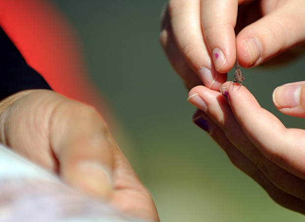 Children gain insight into insects   