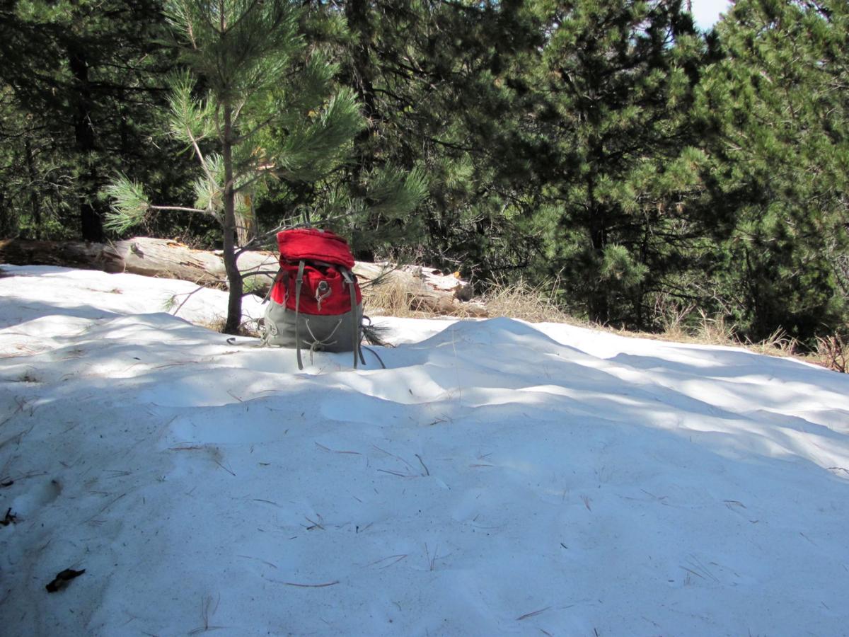 Remnant mountain snow