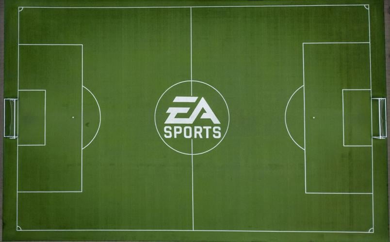 Canada Electronic Arts Buyout