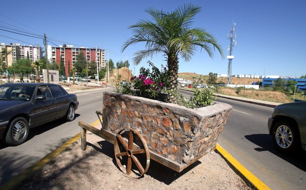 Engalanan de colores cerros de Nogales   