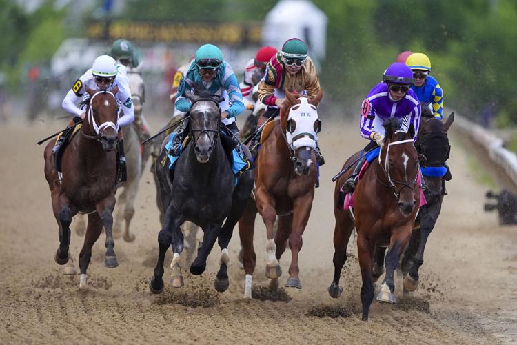 Preakness Stakes Horse Racing