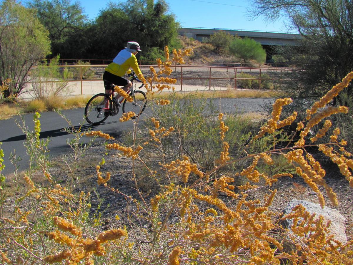 Autumn color along a watercourse