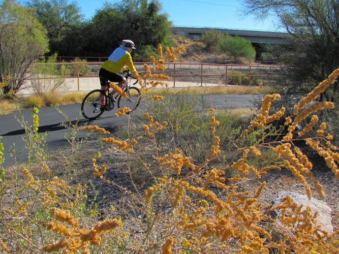 Autumn color along a watercourse