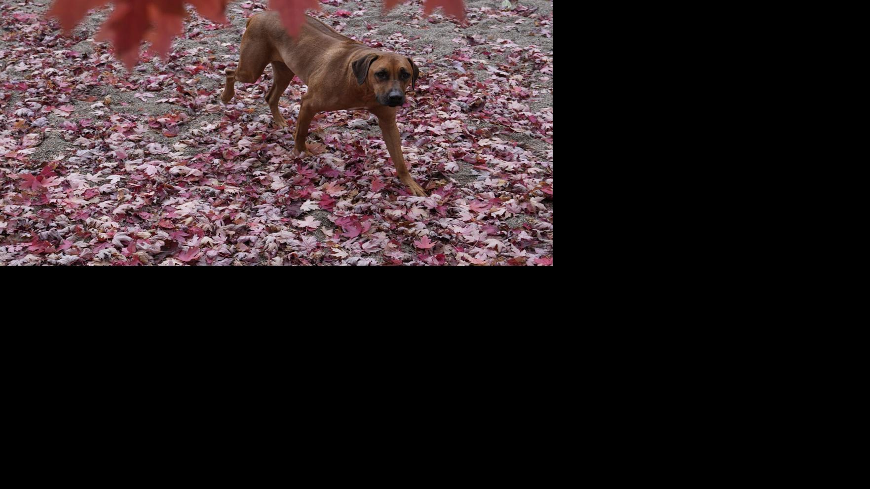 One thing to be supremely grateful for today | Eric Frydenlund