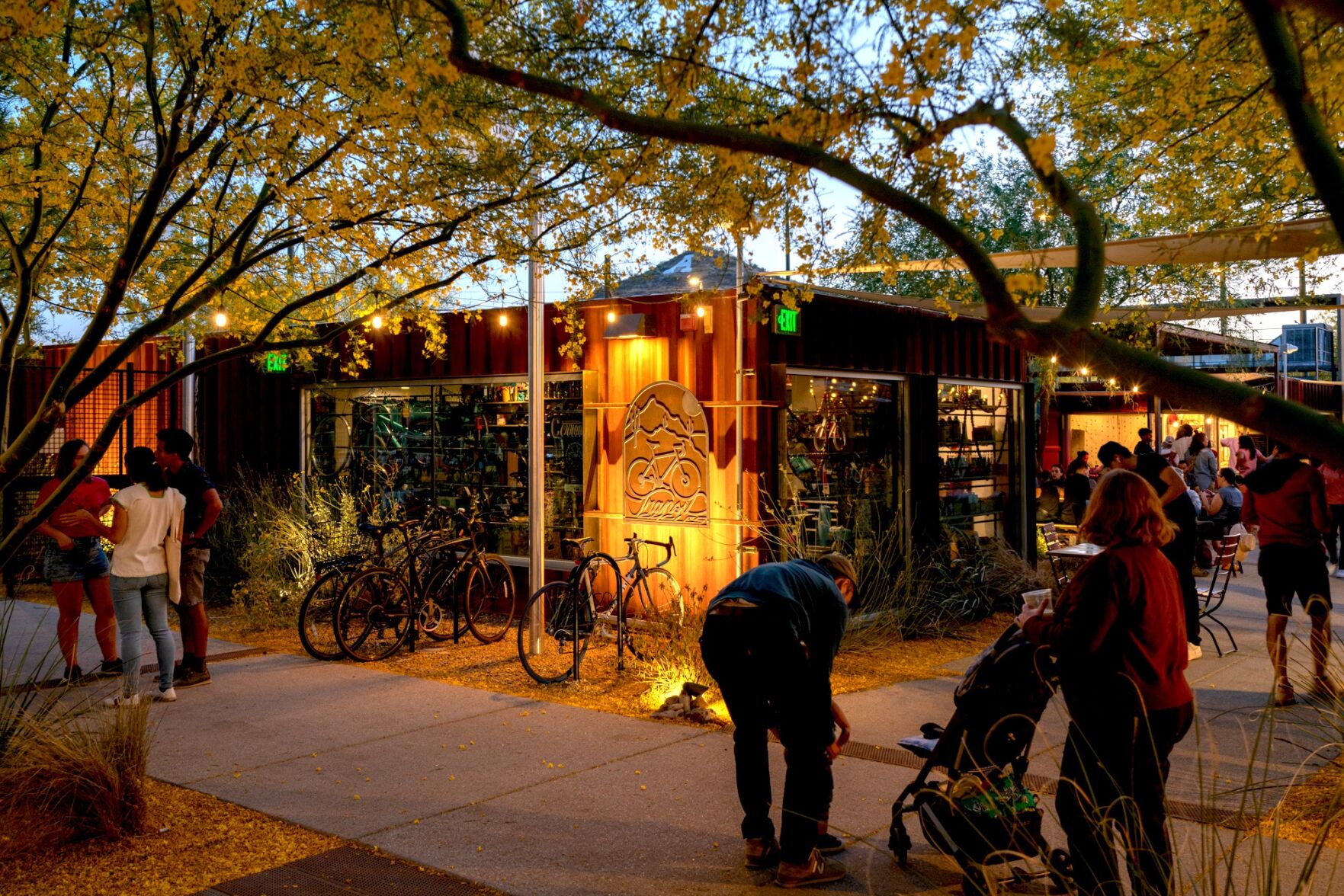 9 things to do outdoors in Tucson after the sun goes down