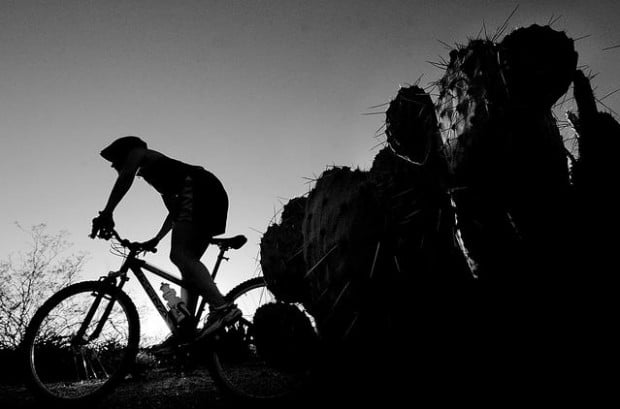 Improvement project closes Cactus Loop for 4 months  