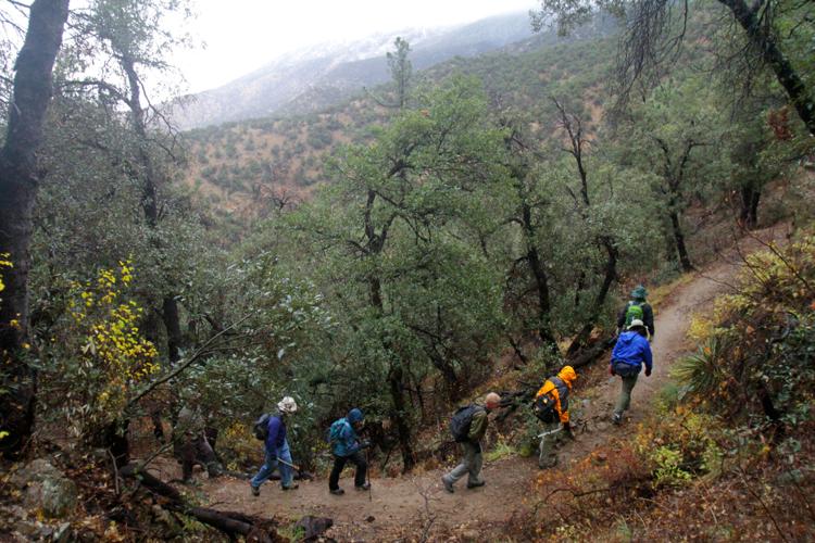 Coronado National Forest, Santa Rita Mountains