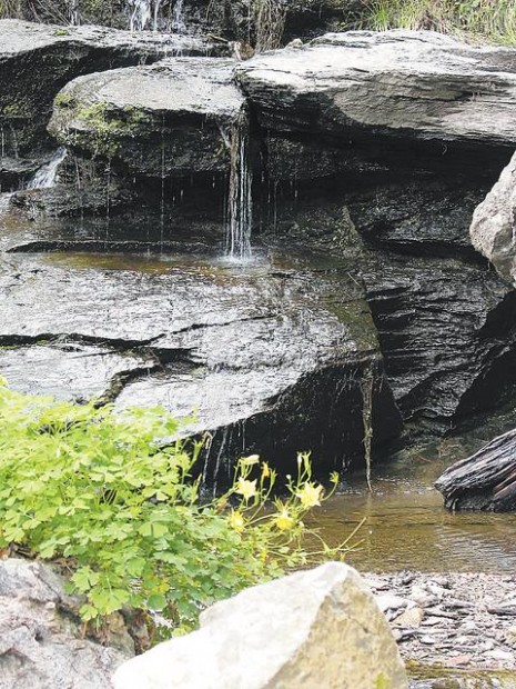 Trail has it all: streambed, flowers, views  