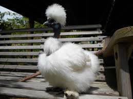 Producers June 21 Facebook post