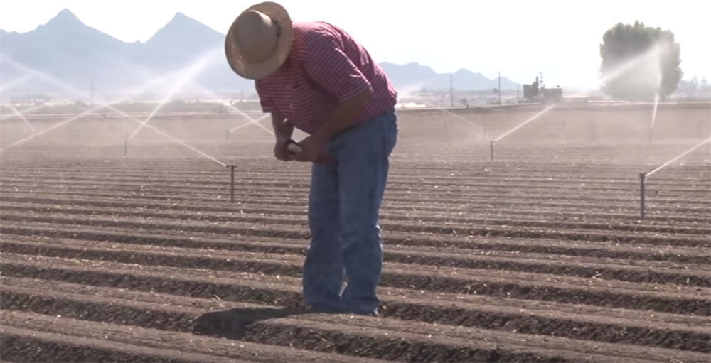 Yuma farmers saving water in face of drought News About Tucson and