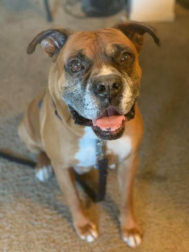 Adopt a friend: Clauss