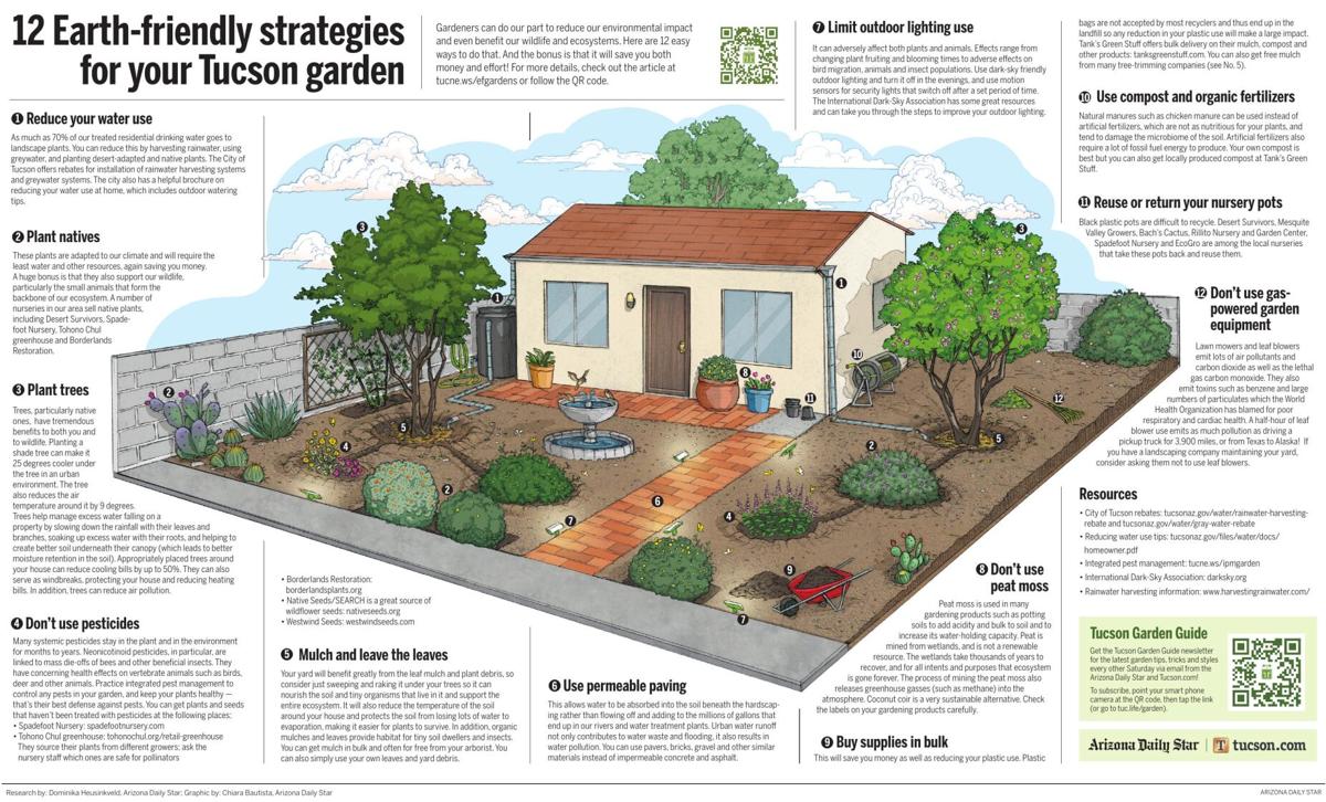 12 Earth-friendly strategies for your Tucson garden