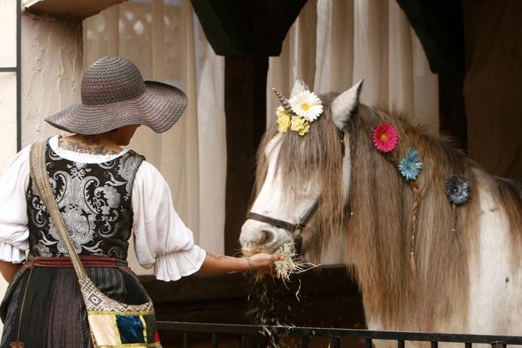 Arizona Renaissance Festival unicorn