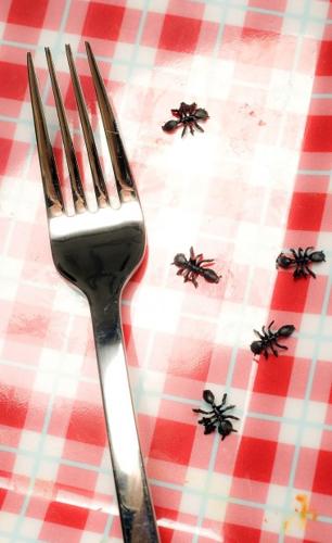 The art of the practical joke   