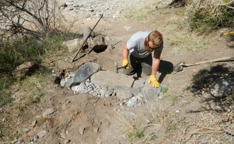 Saguaro National Park trails