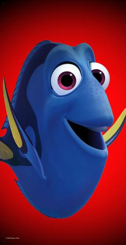 Dory