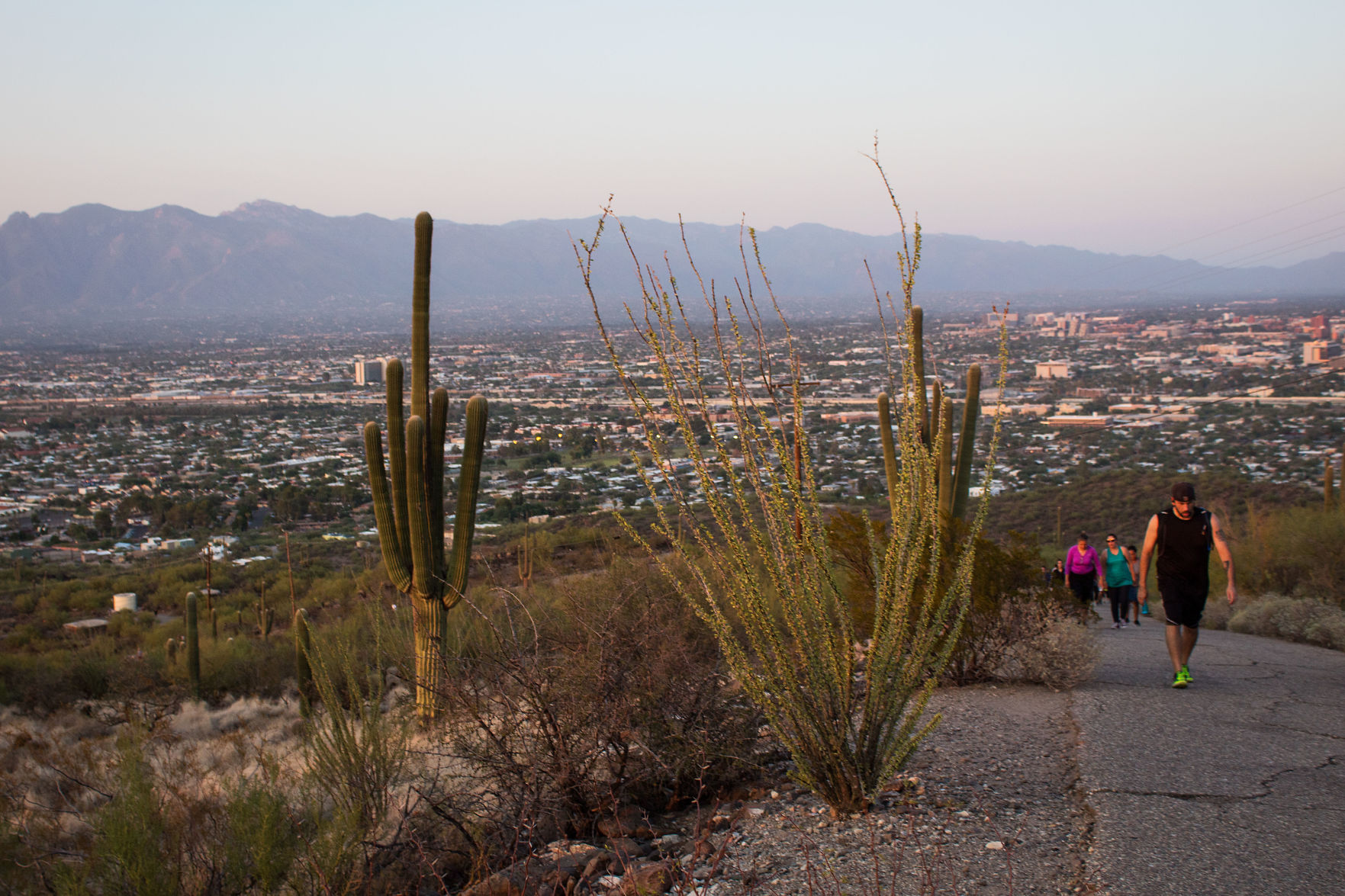 6 lovely Tucson things to do on Black Friday 2019 that don t