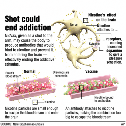 A Vaccine That Blocks Nicotine Buzz Is Tested Health And