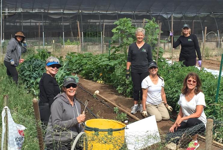 Tucson Cancer Conquerors