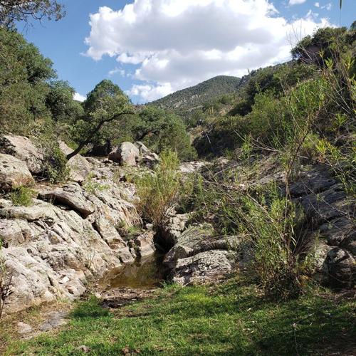 Our First Time Spring Seeking in Sierra San Diego