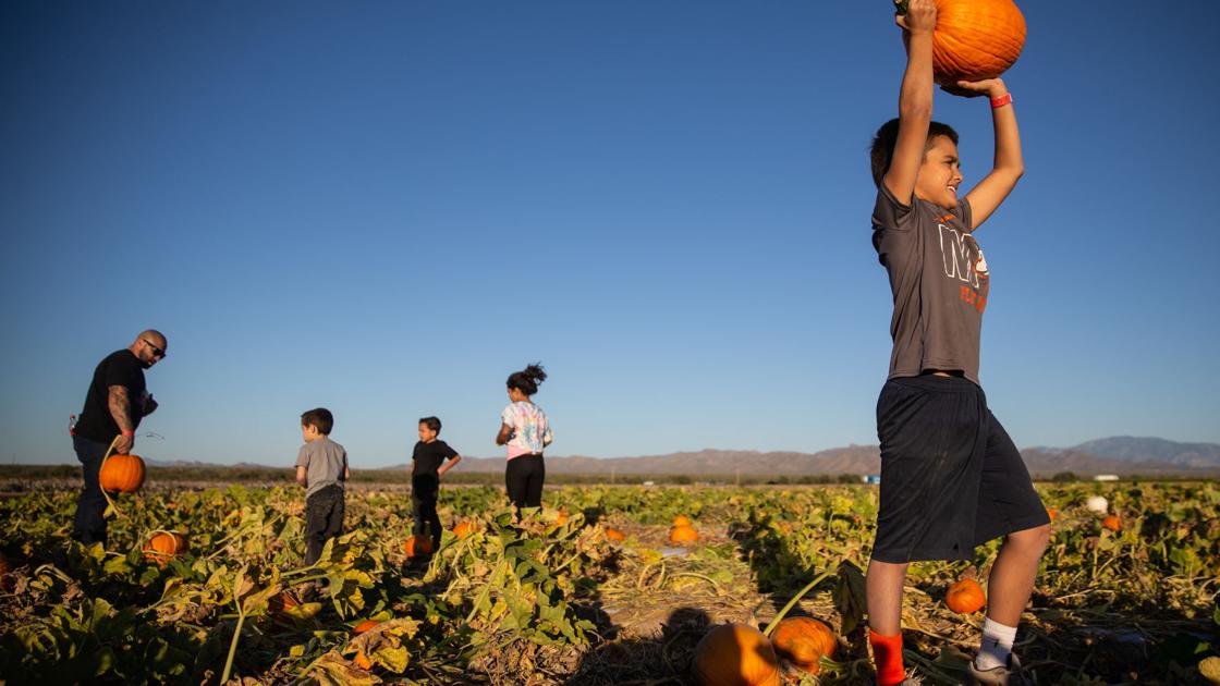 Tucson Halloween Events 2025