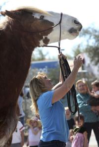 Horses spread a little TLC