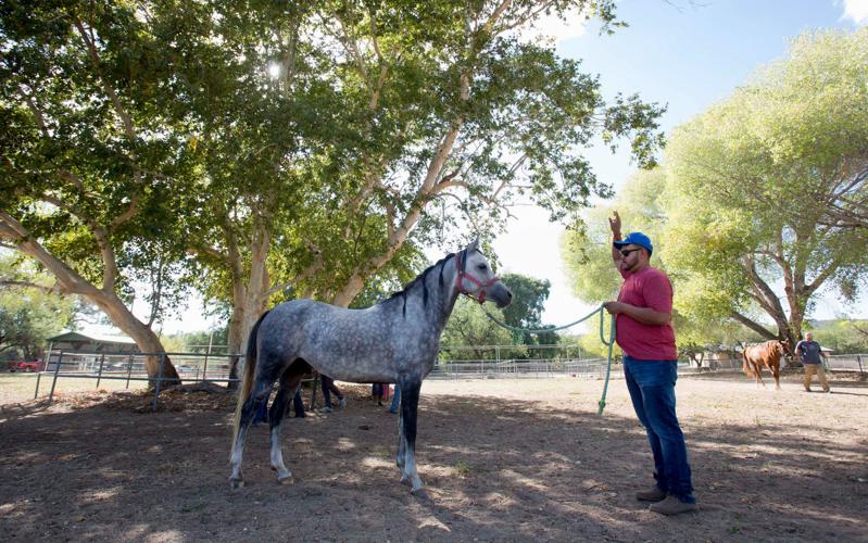 UA Race Track Industry Program