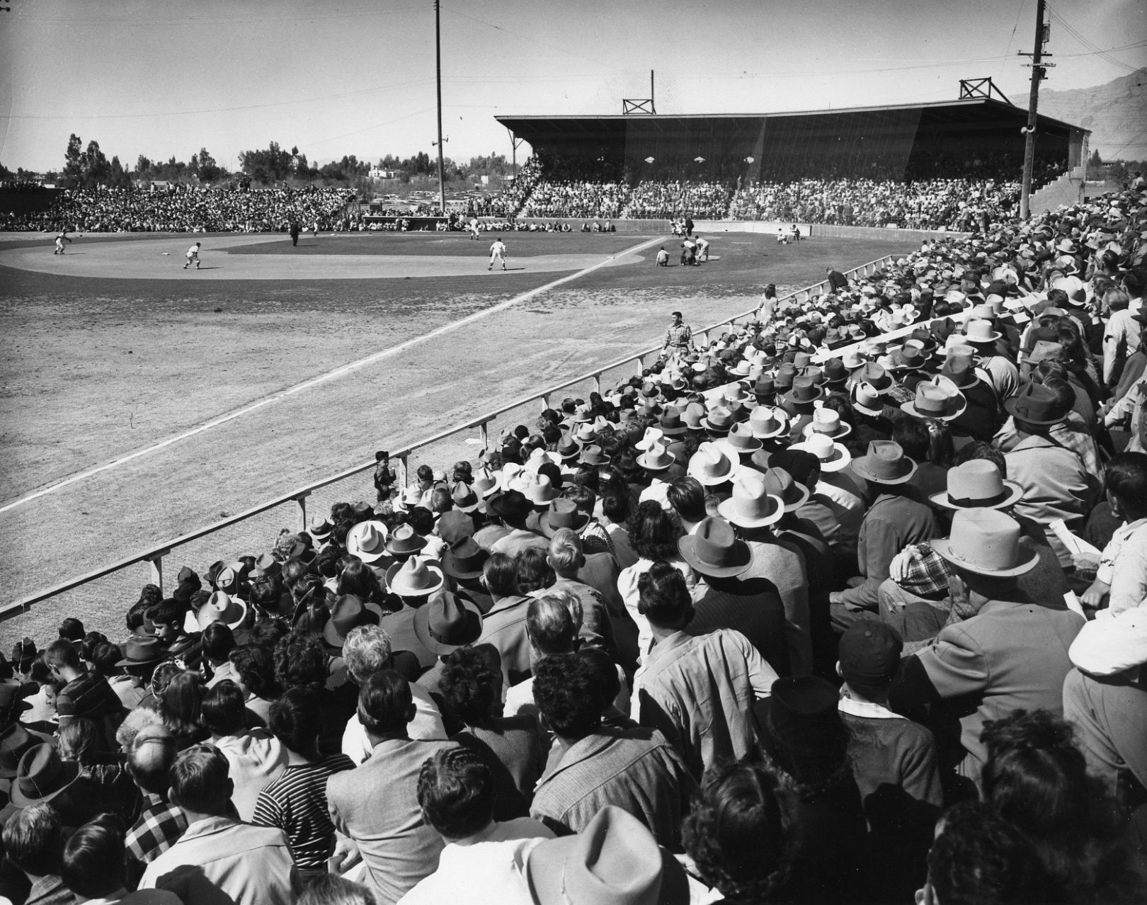 Indians spring online training