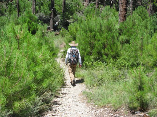 North of Tucson, bright hues break out on Box Camp Trail Hiking and