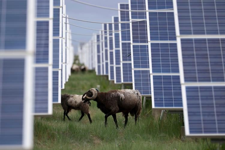 Iran Asia China Renewable Energy