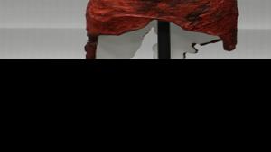 Photo of the day: Lady Gaga's meat dress in museum