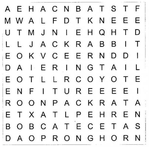 Sonoran Desert home to 130 mammal species  