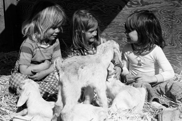 Highland Free School