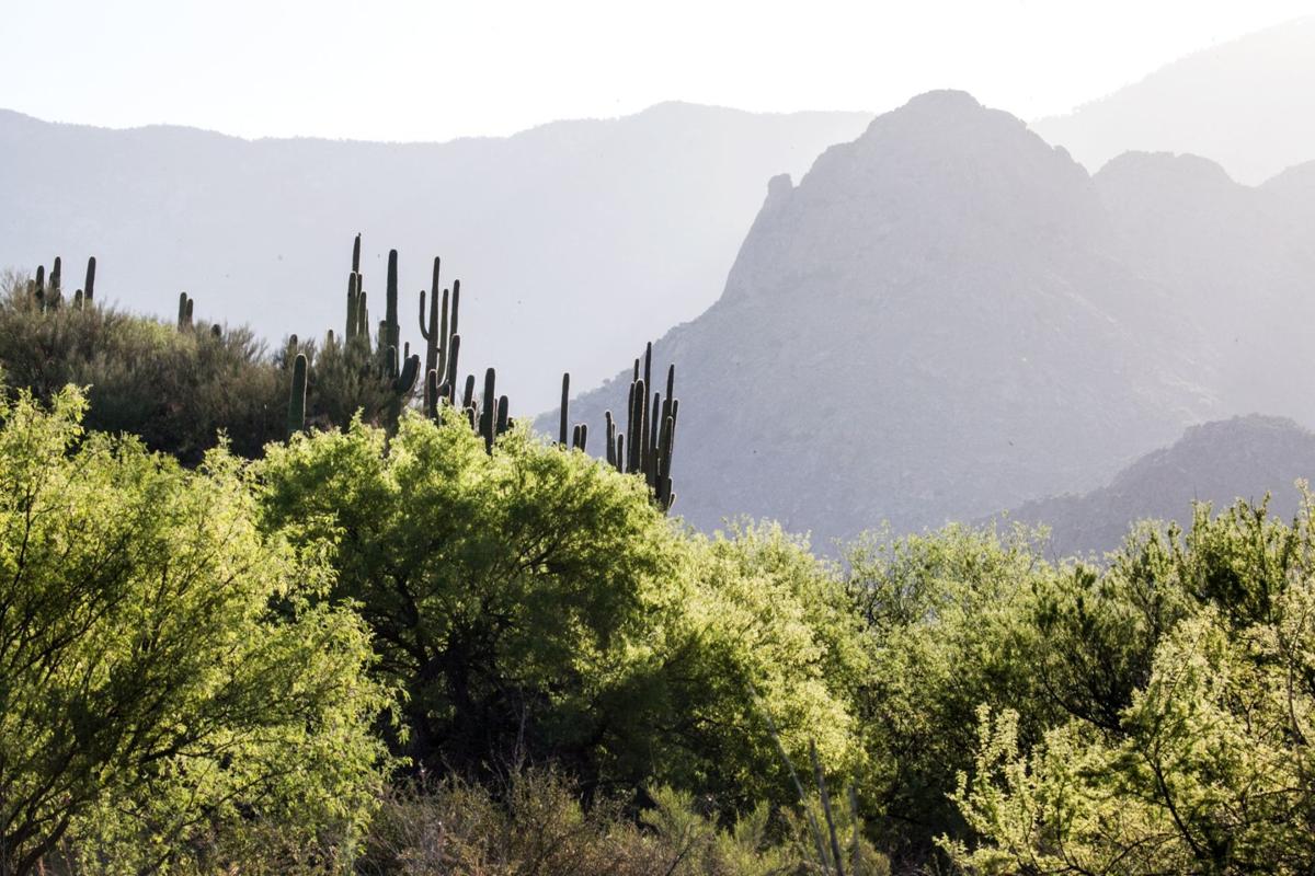 Catalina State Park