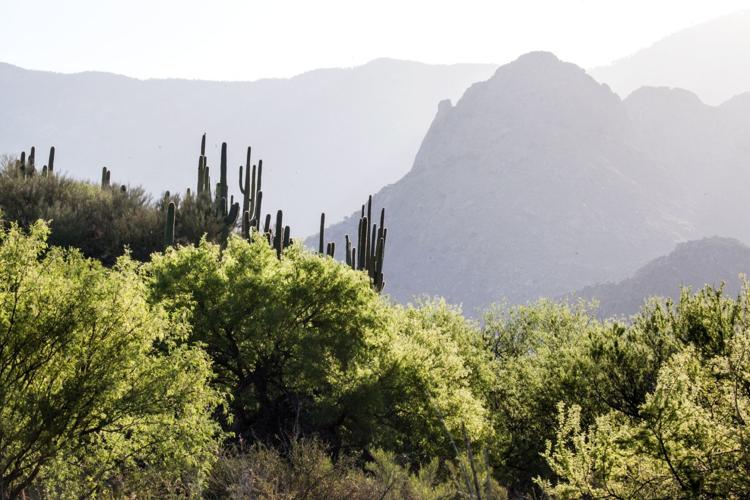 Catalina State Park
