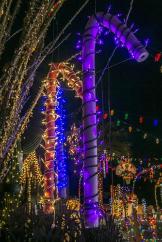 Moussette Christmas Lights