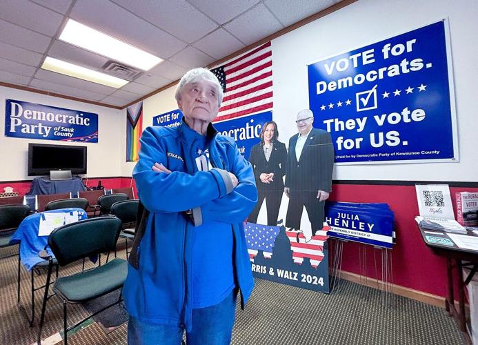 Sauk County voters