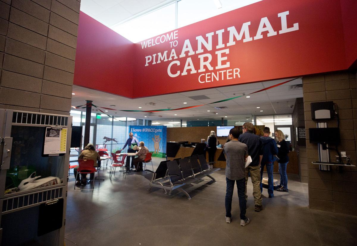 Dog death halts non-emergency admissions to Pima Animal Care Center
