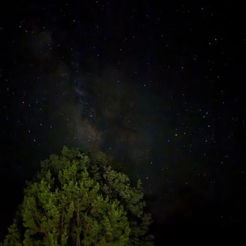 Our First Time Spring Seeking in Sierra San Diego