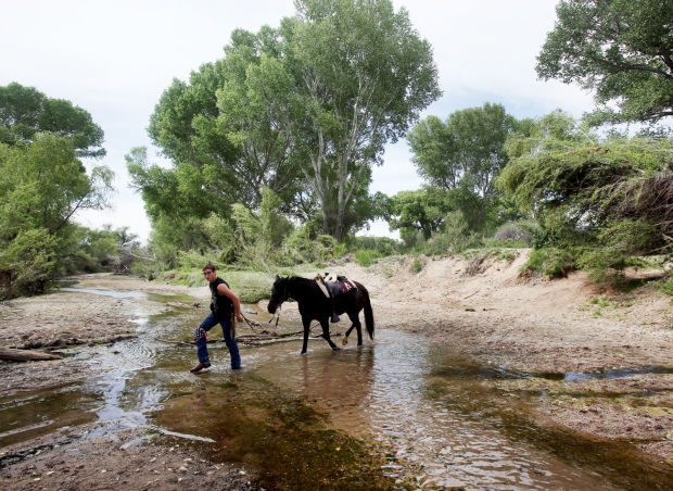 St. David Cienega in the San Pedro Riparian National Conservation Area