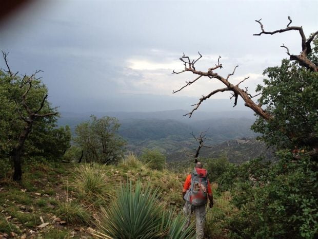 Search continues for Tucson visitor who didn’t return from Mt. Lemmon hike