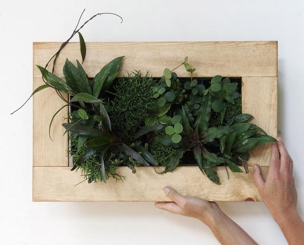 Gardening-Living Pictures