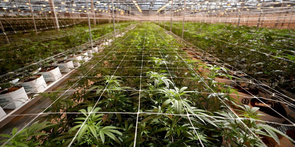 Earth's Healing Cover