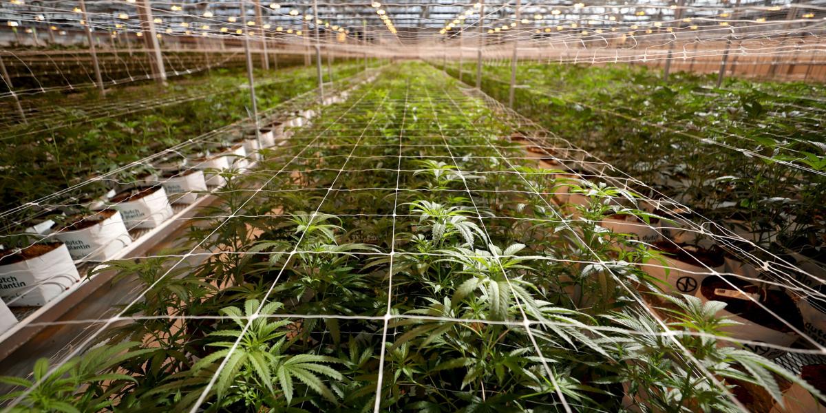 Earth's Healing Cover